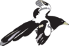 Flying Black And White Bird Clip Art